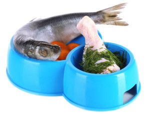 Recetas BARF para dueños ocupados