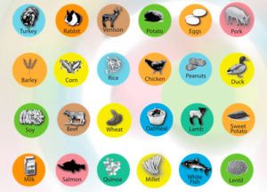NutriScan alimentos test