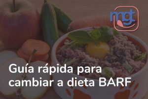 Guía rápida para cambiar a dieta BARF