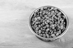 Curso online mejorar la alimentacion con pienso
