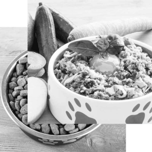 Aprender sobre dieta natural para perros o gatos