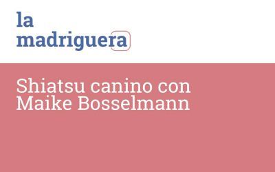 Shiatsu canino con Maike Bosselmann