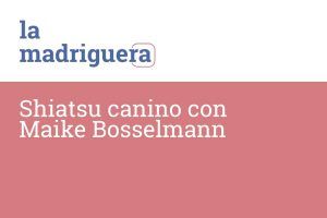Shiatsu canino