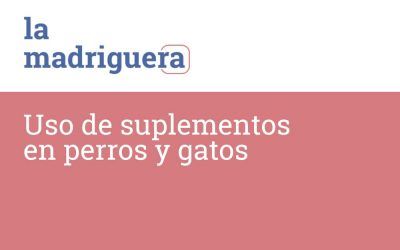 Uso de suplementos en la dieta de perros y gatos