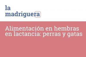 Alimentación en la lactancia de perras y gatas