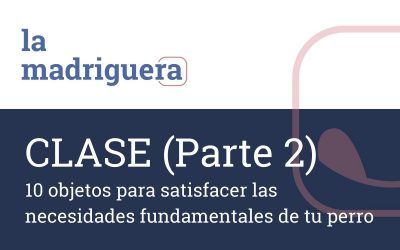 10 Objetos beneficiosos para tu perro
