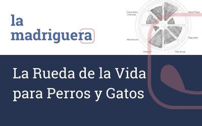 La Rueda de la Vida