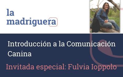 Introducción a la comunicación canina