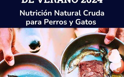 Acceso Curso Intensivo Verano 2024