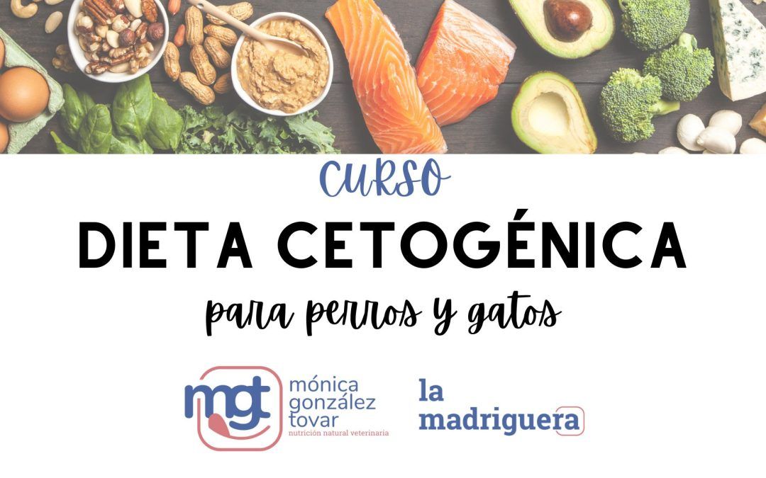 Acceso Curso de Dieta Cetogénica