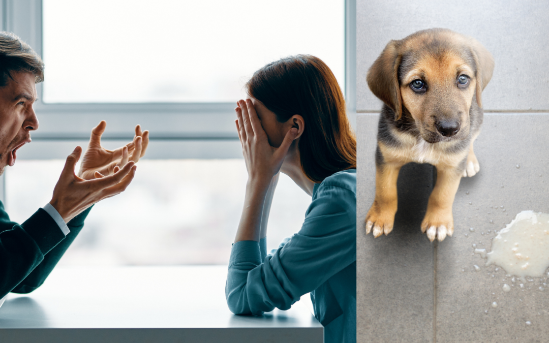 ¿Puede el estrés de tu familia estar detrás de los problemas digestivos de tu perro?