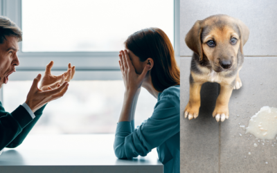 ¿Puede el estrés de tu familia estar detrás de los problemas digestivos de tu perro?